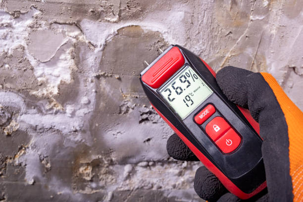 Best Mold Remediation  in Mount Ora, OH