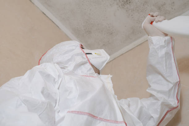 Best Commercial Mold Removal  in Mount Ora, OH