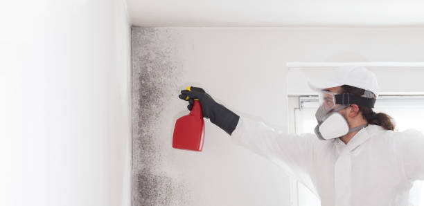 Best Crawl Space Mold Removal  in Mount Ora, OH